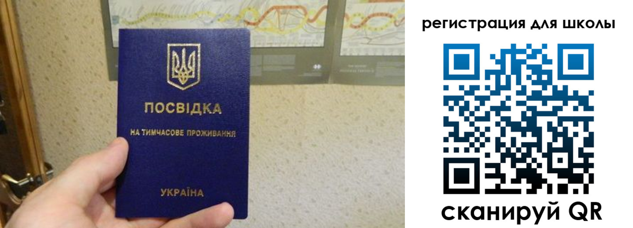 временная прописка в Бокситогорске